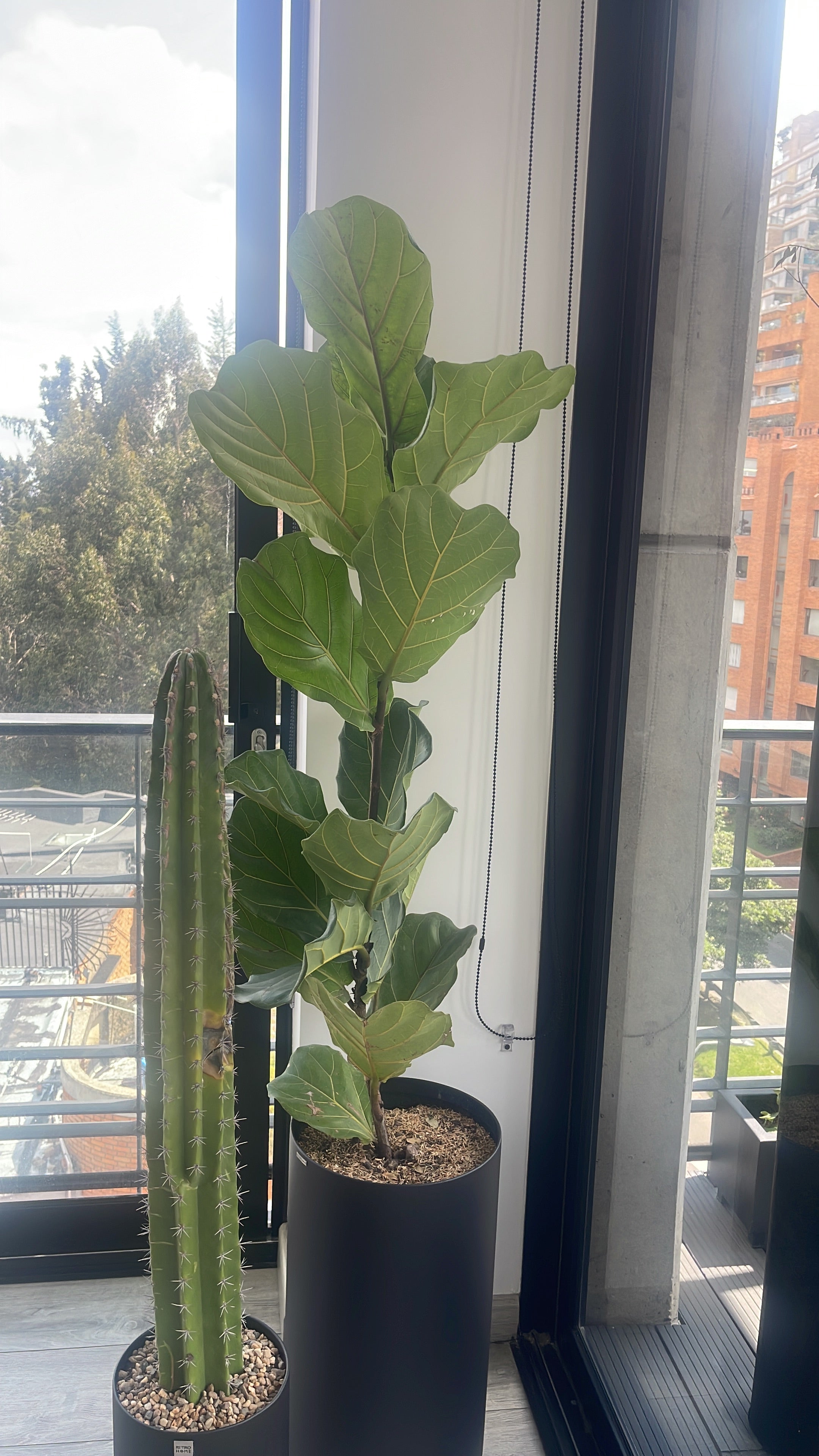 Materas Cilíndricas pequeñas
