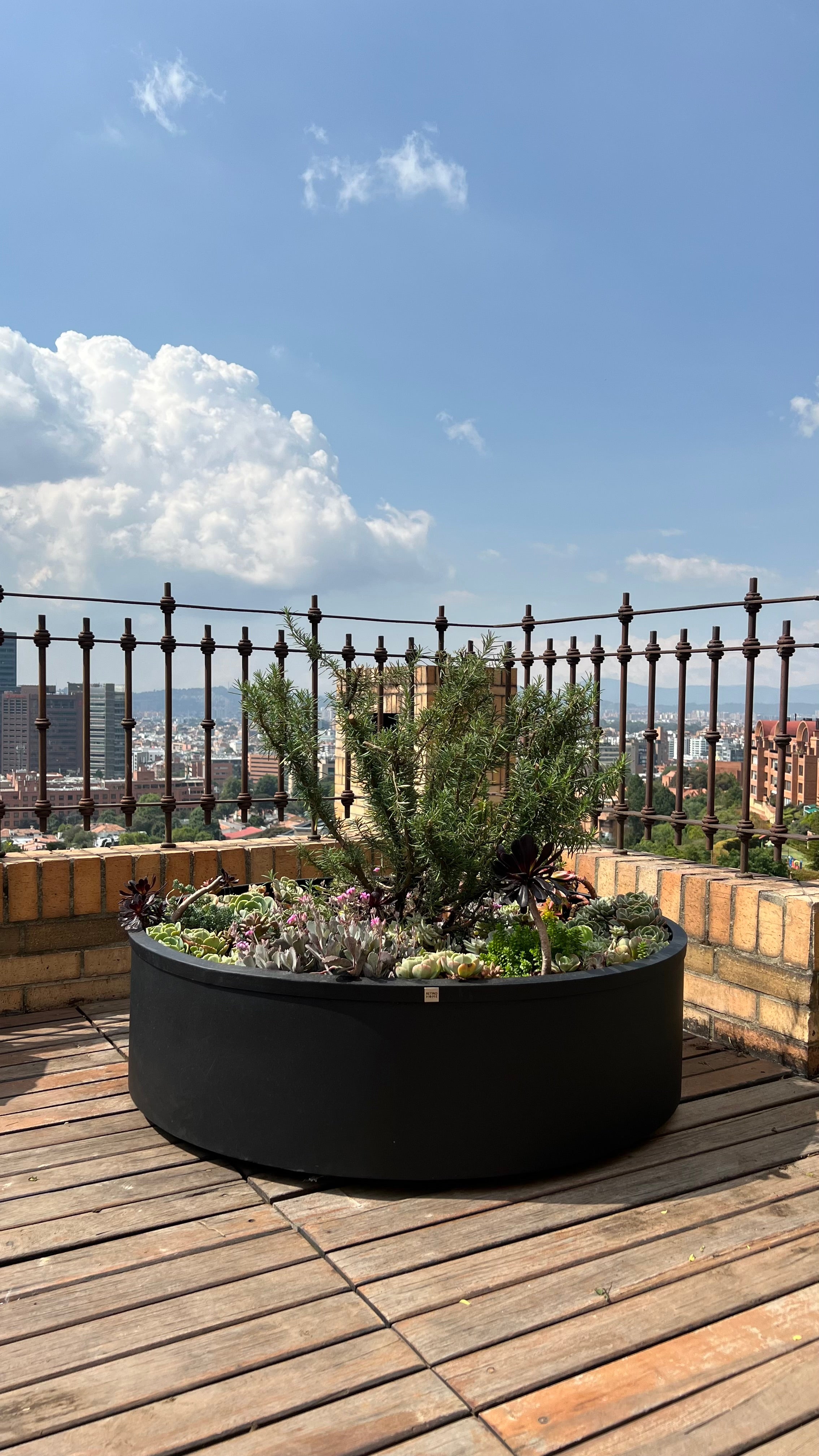 Materas Cilíndricas tipo Bonsai