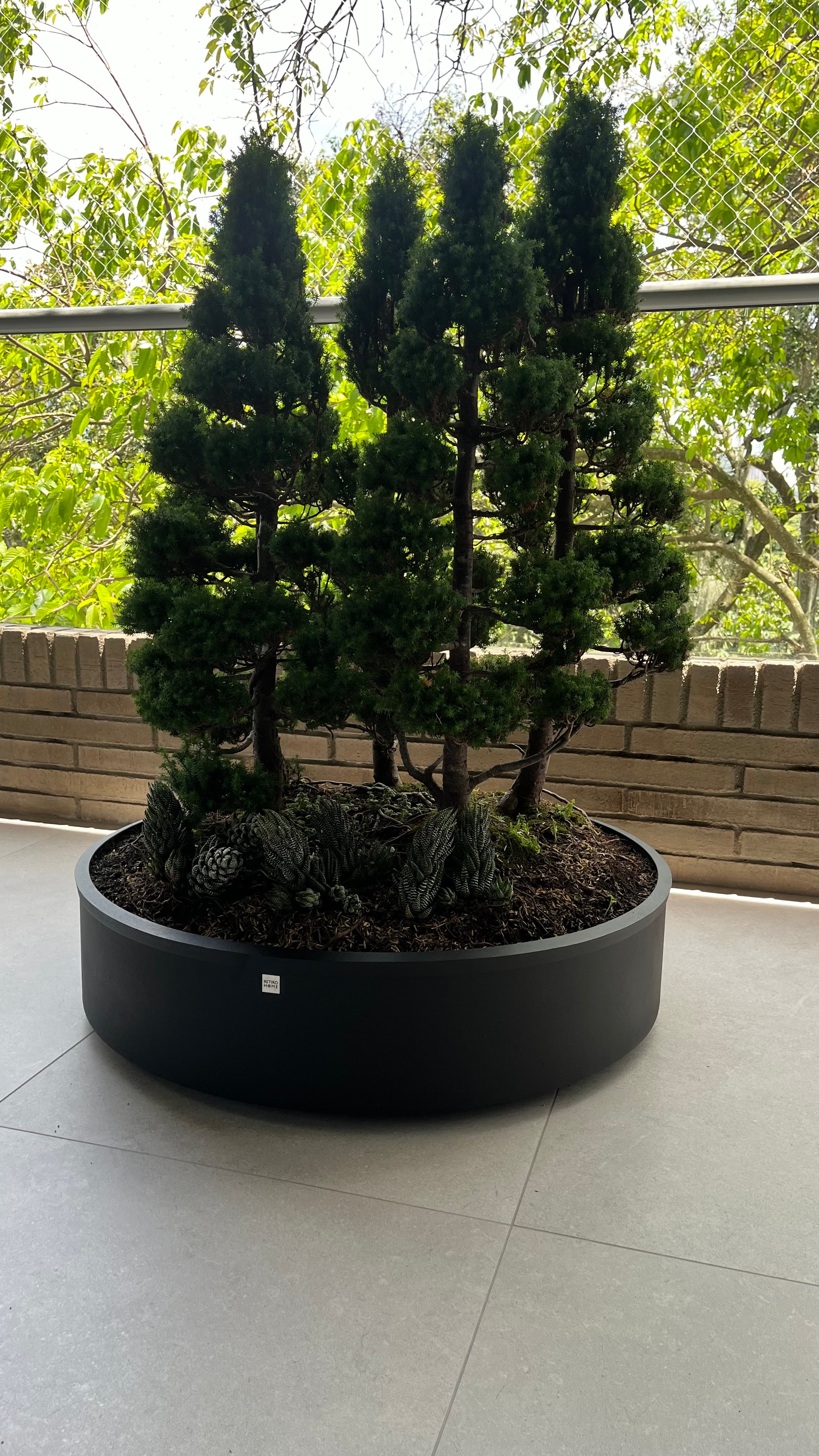 Materas Cilíndricas tipo Bonsai