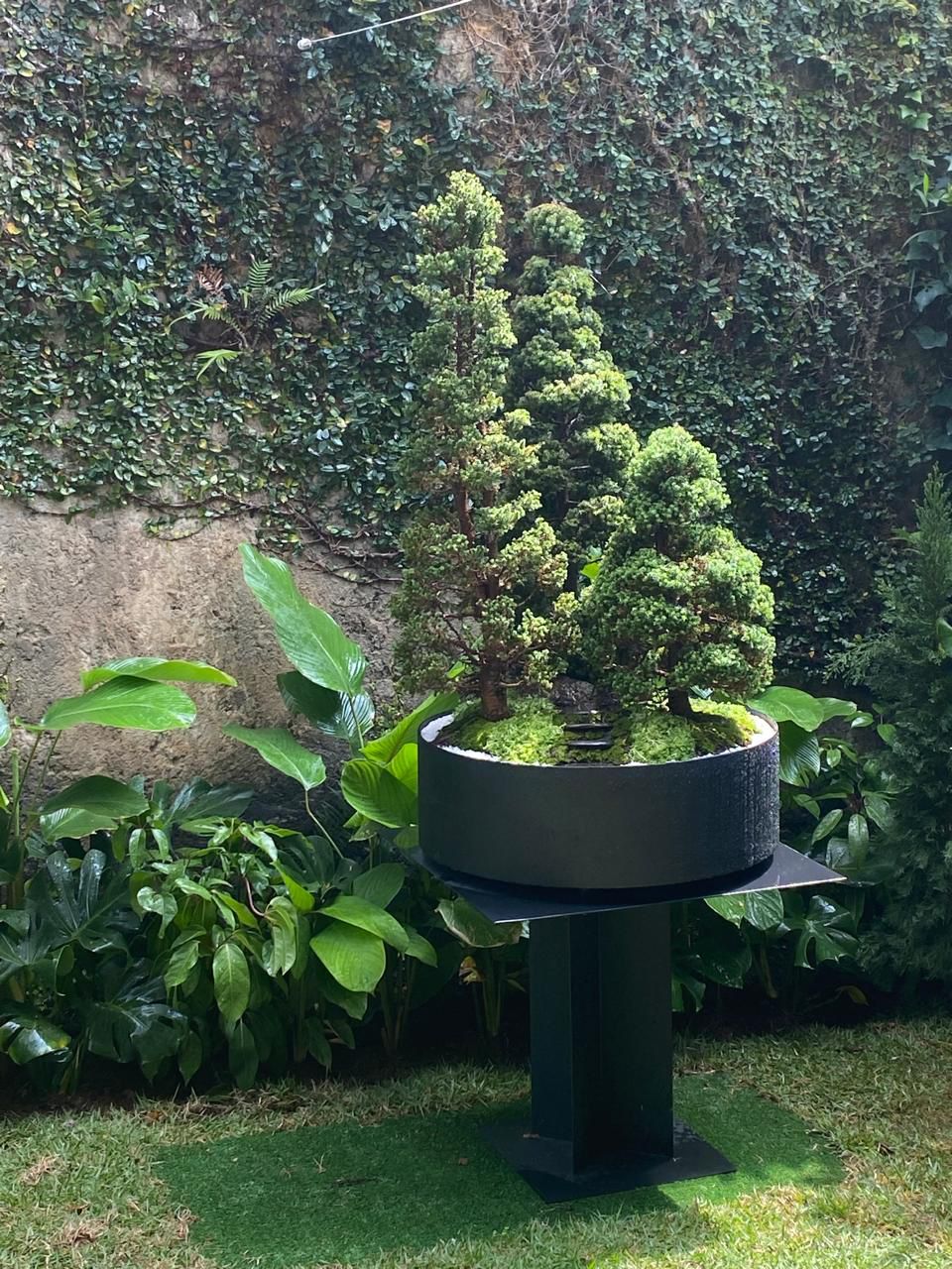 Materas Cilíndricas tipo Bonsai